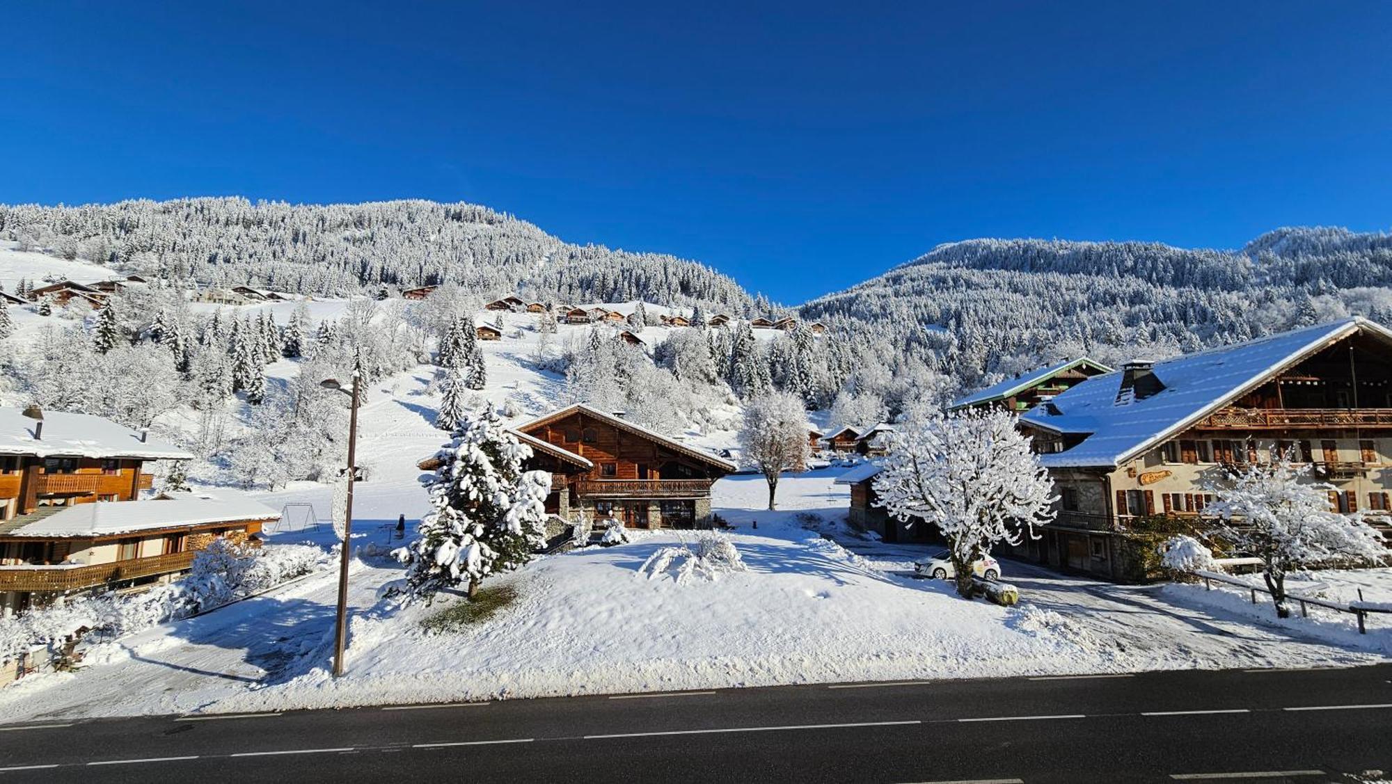 Demi-Chalet Vadel La Panthiaz 15 Pers 5 Chambres Ла-Шапель-д'Абонданс Экстерьер фото
